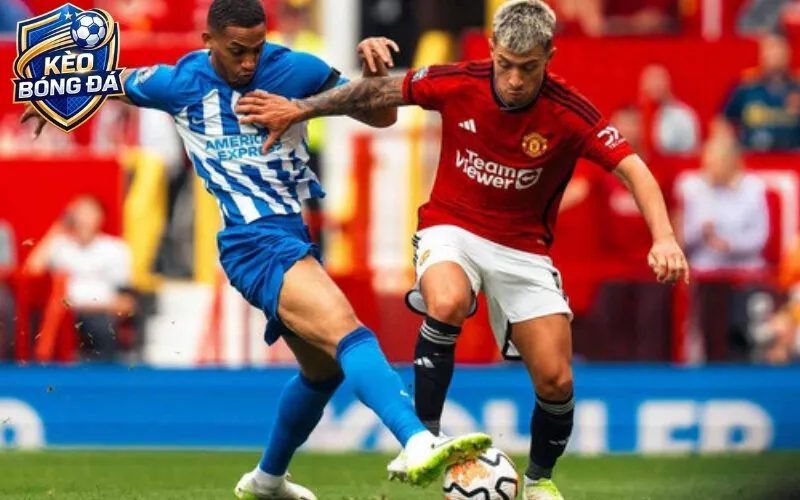 Các loại kèo bóng đá phổ biến và cách đọc tỷ lệ chuẩn